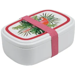 Bento lunch box plastique perroquet exotique