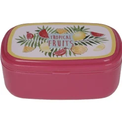 Bento rose décor fruits exotiques multicolores