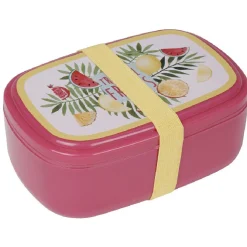 Bento rose décor fruits exotiques multicolores