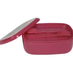 Bento rose décor fruits exotiques multicolores