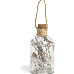 Bocal en verre avec guirlande en cuivre 10 LED