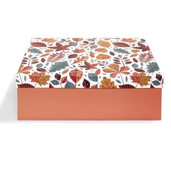 Boîte à cadeau rectangulaire 32x24xH11,2cm - 2 modèles