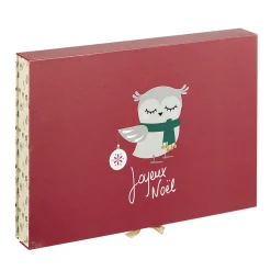 Boîte cadeau rectangulaire à motif hibou Joyeux Noël