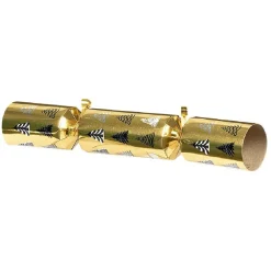 Crackers festifs adultes x6