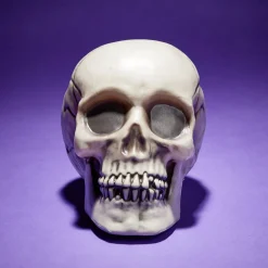 Crâne décoration Halloween 19x15xH16cm