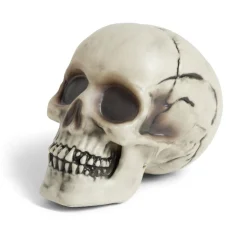Crâne décoration Halloween 19x15xH16cm