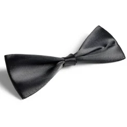 Décoration de verre noeud papillon et ruban x2