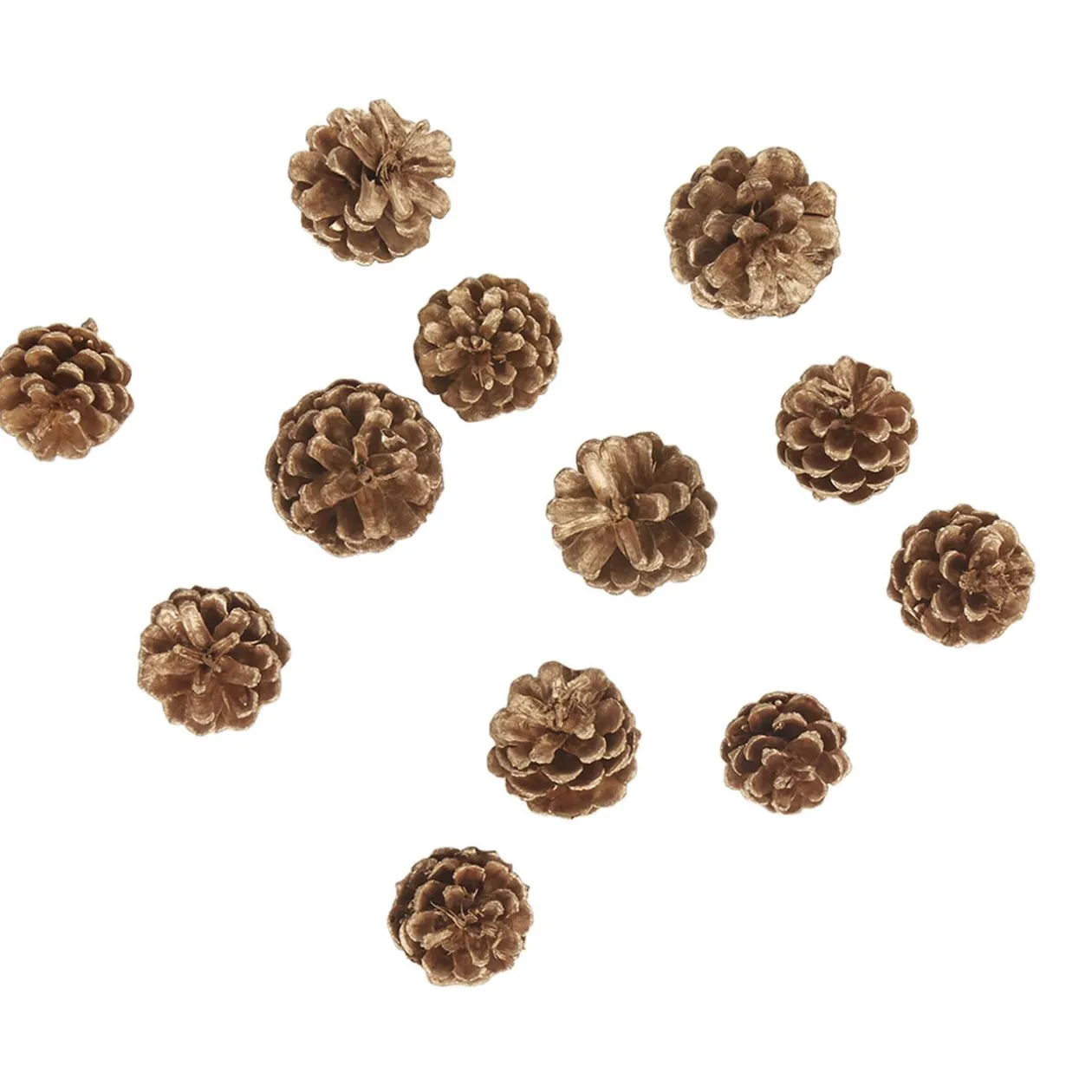 Décoration Pomme de pin naturelle à poser x 12