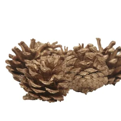 Décoration Pomme de pin naturelle à poser x 12
