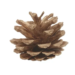 Décoration Pomme de pin naturelle à poser x 12