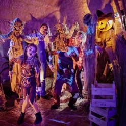 Déguisement adulte Halloween épouvantail poncho - Taille unique