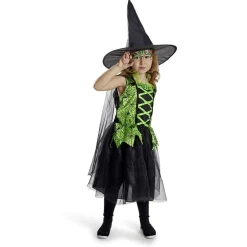 Déguisement enfant Halloween sorcière robe chapeau noir vert 11/14ans
