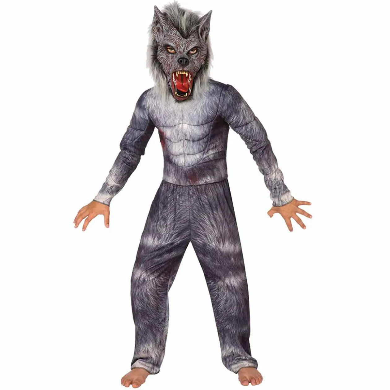 Déguisement enfant loup garou gris Halloween 4/6 ans