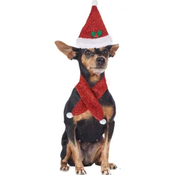 Déguisement Noël bonnet et écharpe pour chien
