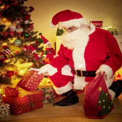 Déguisement Père Noël de luxe