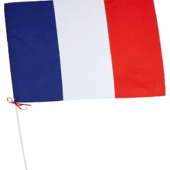 Drapeau France avec hampe en plastique