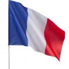 Drapeau France tricolore 100x90 cm