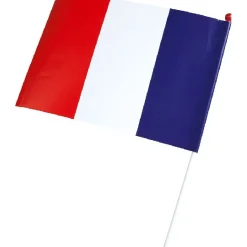 Fanion mini drapeau France x6
