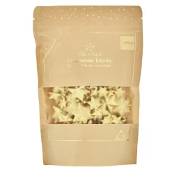 Guirlande mini Étoile Dorée 1,5 m