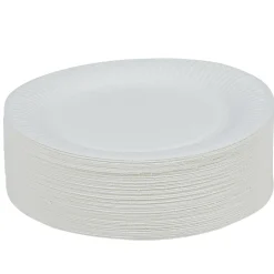 Lot de 150 assiettes en carton blanc