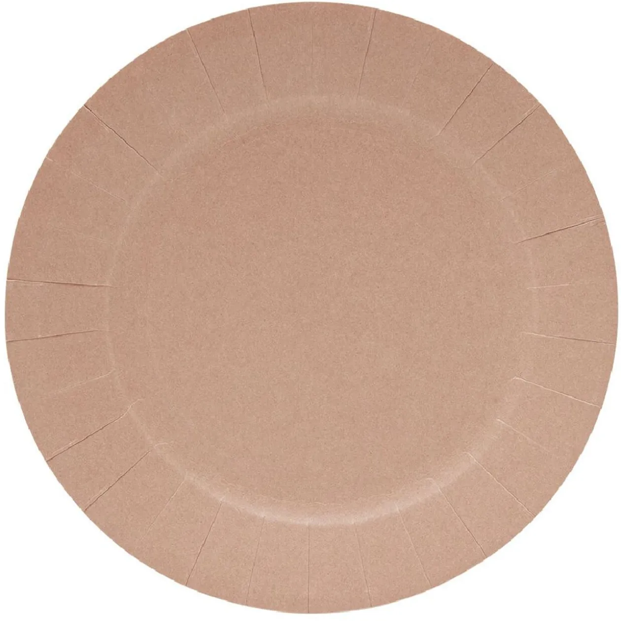 Lot de 10 assiettes en carton Ø18cm rose