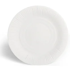Lot de 100 assiettes en carton blanc Ø23 cm