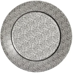 Lot de 10 assiettes plates rondes carton motif géométrique blanc et noir Ø23cm