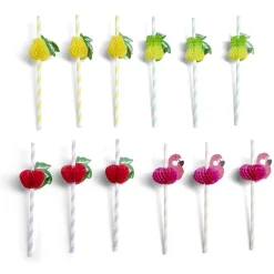 Lot de 12 pailles en papier design fruit