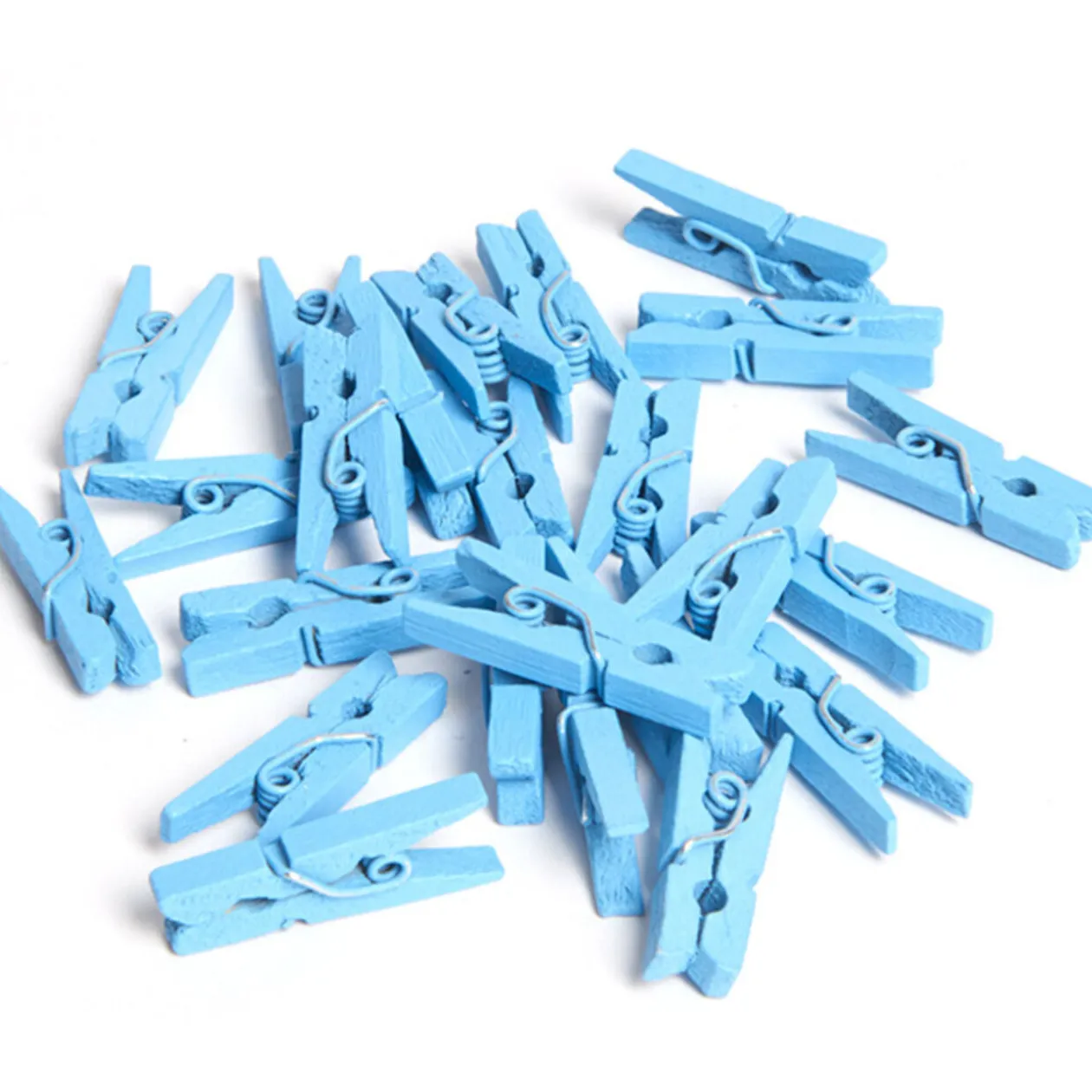 Mini pince bleue x24