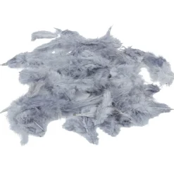 Mini plume argentée x35