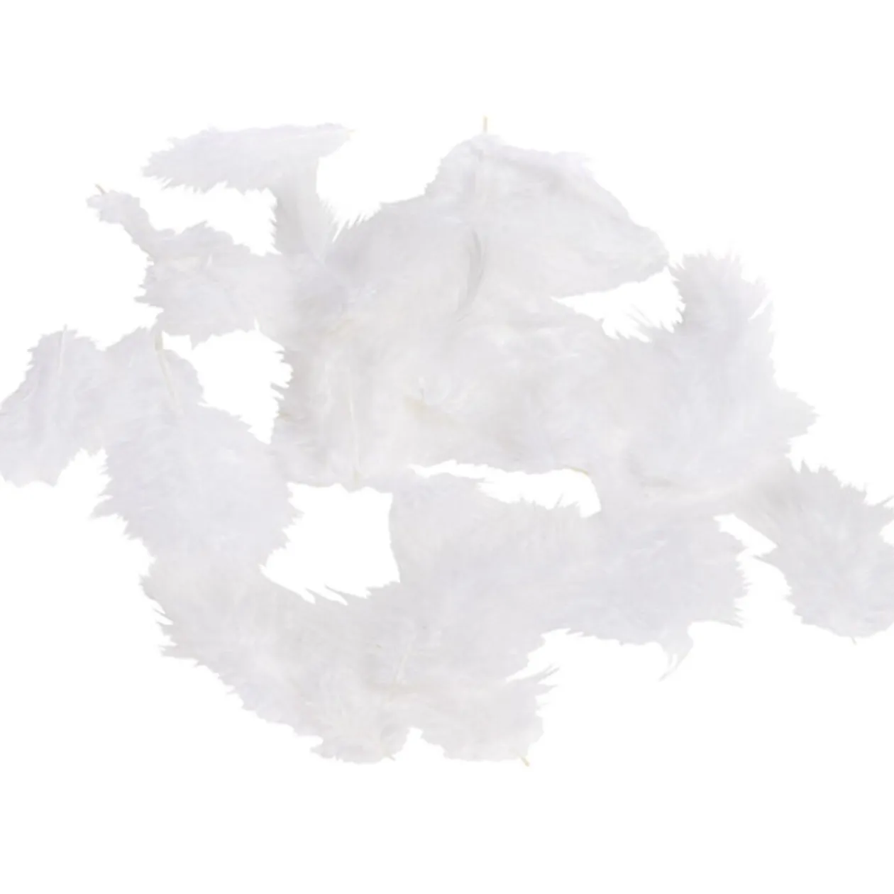 Mini plume blanche x35