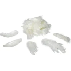 Mini plume ivoire x35