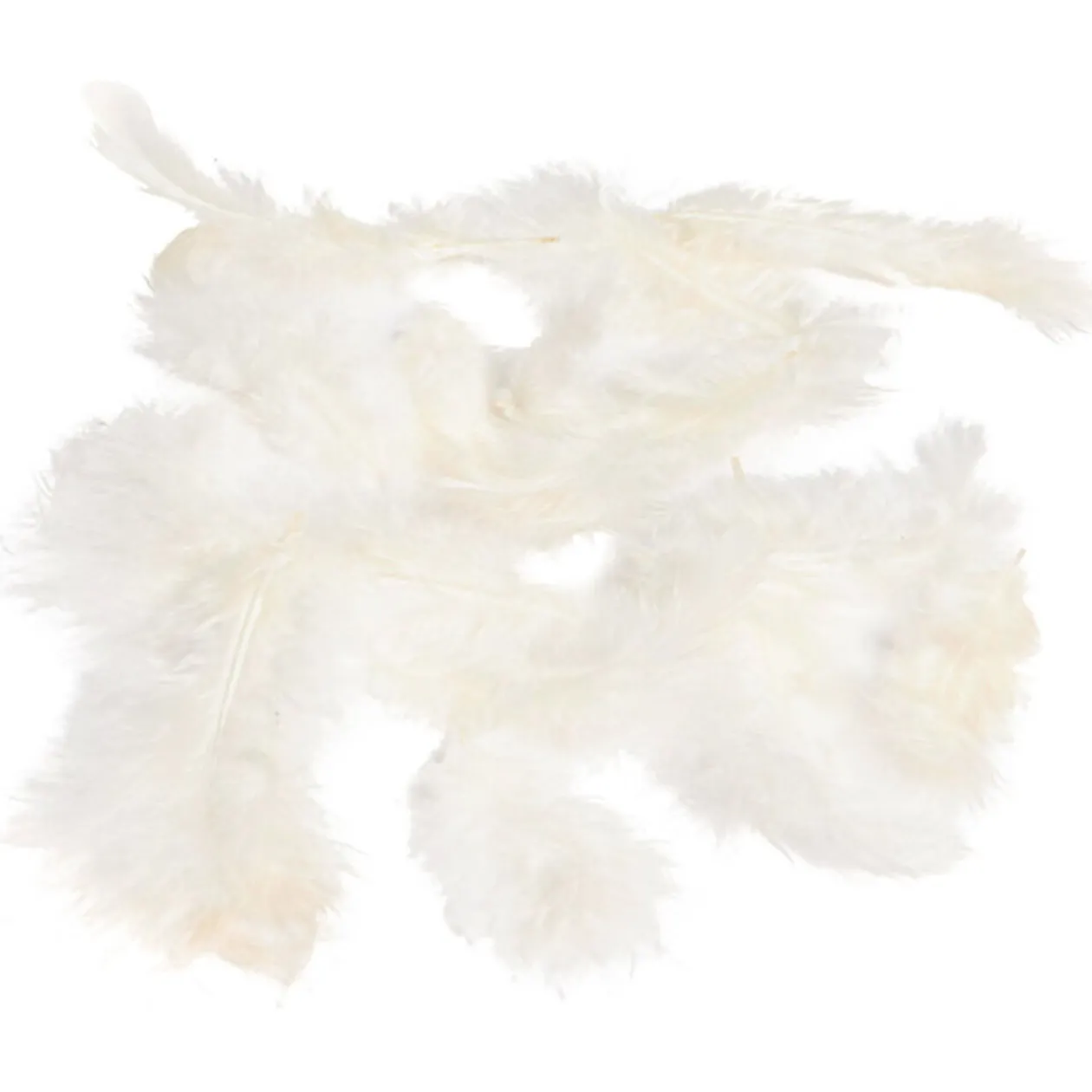 Mini plume ivoire x35