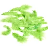 Mini plume verte anis x35
