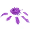 Mini plume violette x35