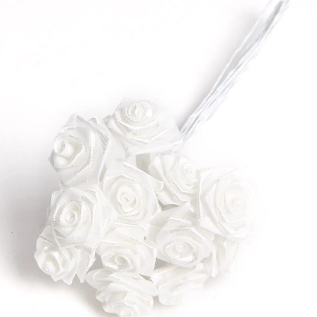 Mini rose ivoire x72