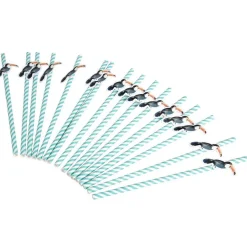 Paille en papier toucan x 16