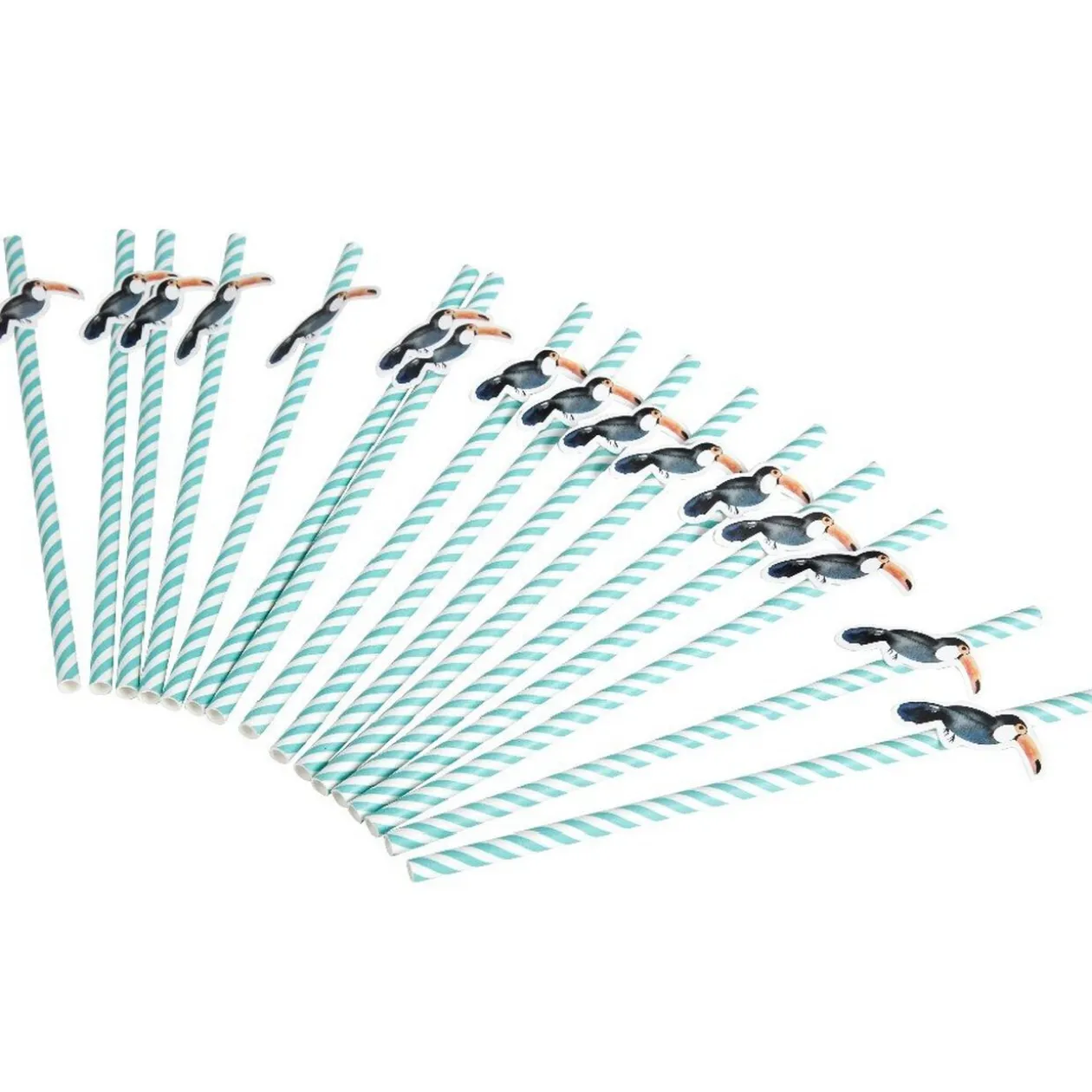 Paille en papier toucan x 16