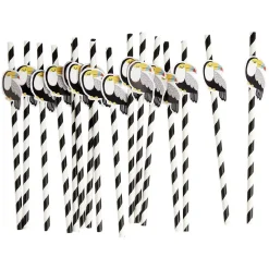 Paille papier décor spirale colorée avec fantaisie x16 - Ø0,5 x H27cm