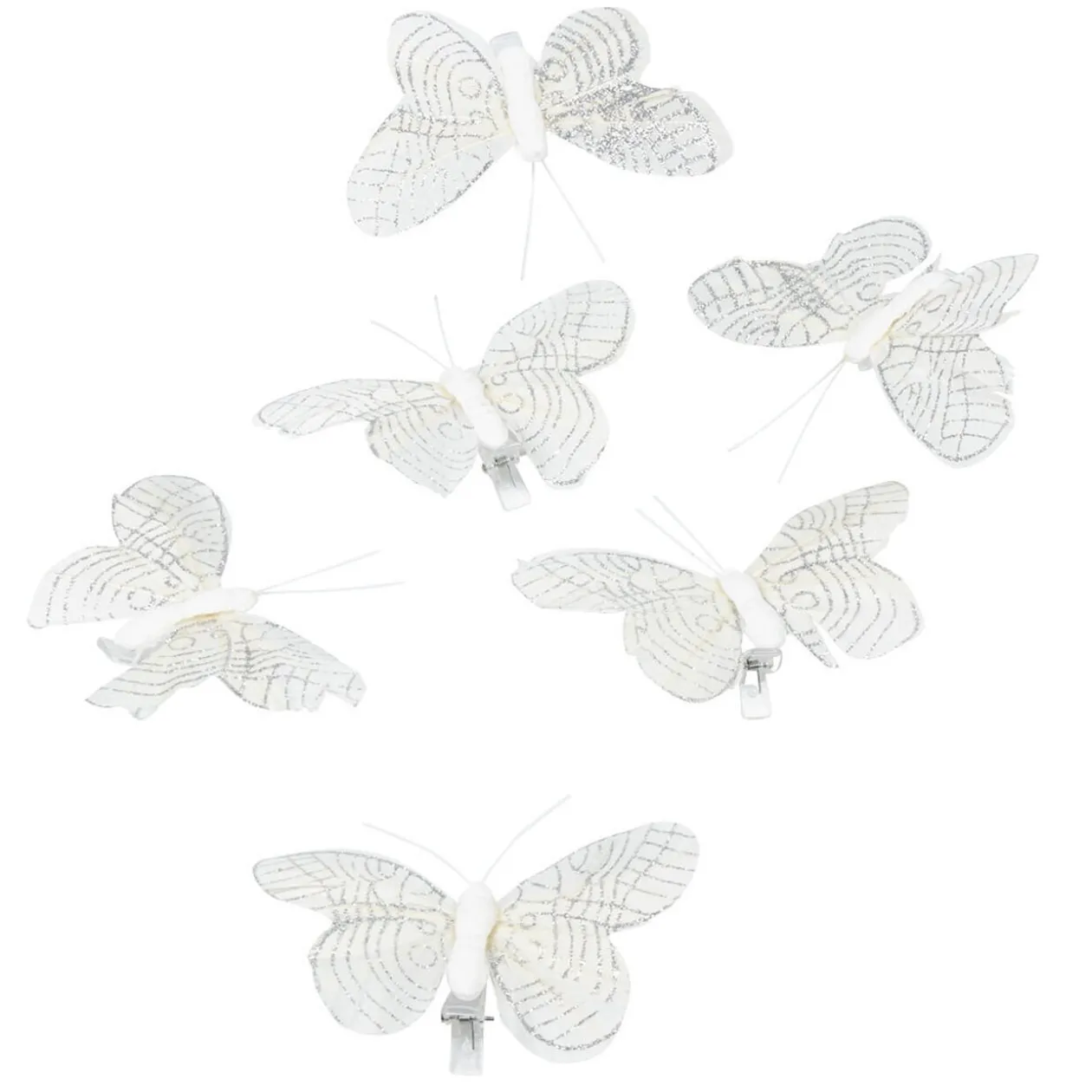 Papillon blanc x6