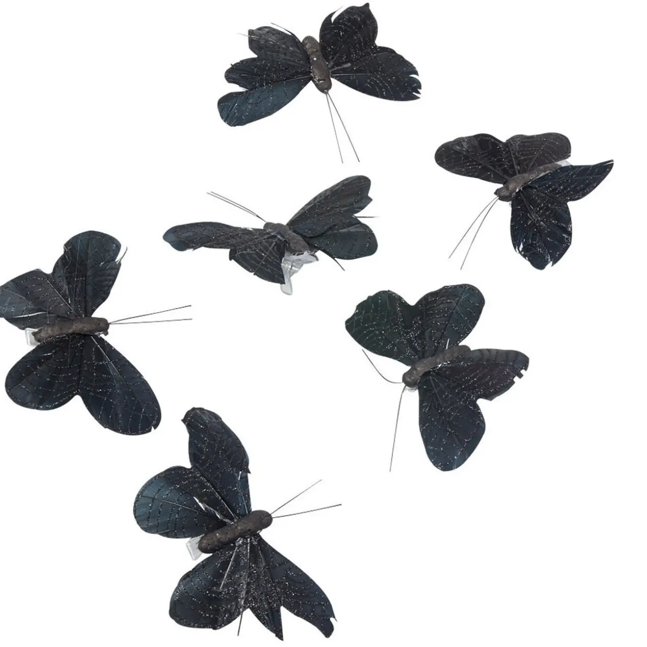 Papillon noir x6