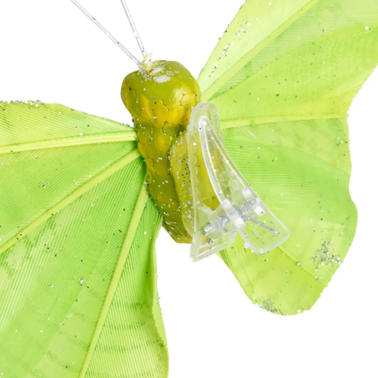 Papillon vert anis x6