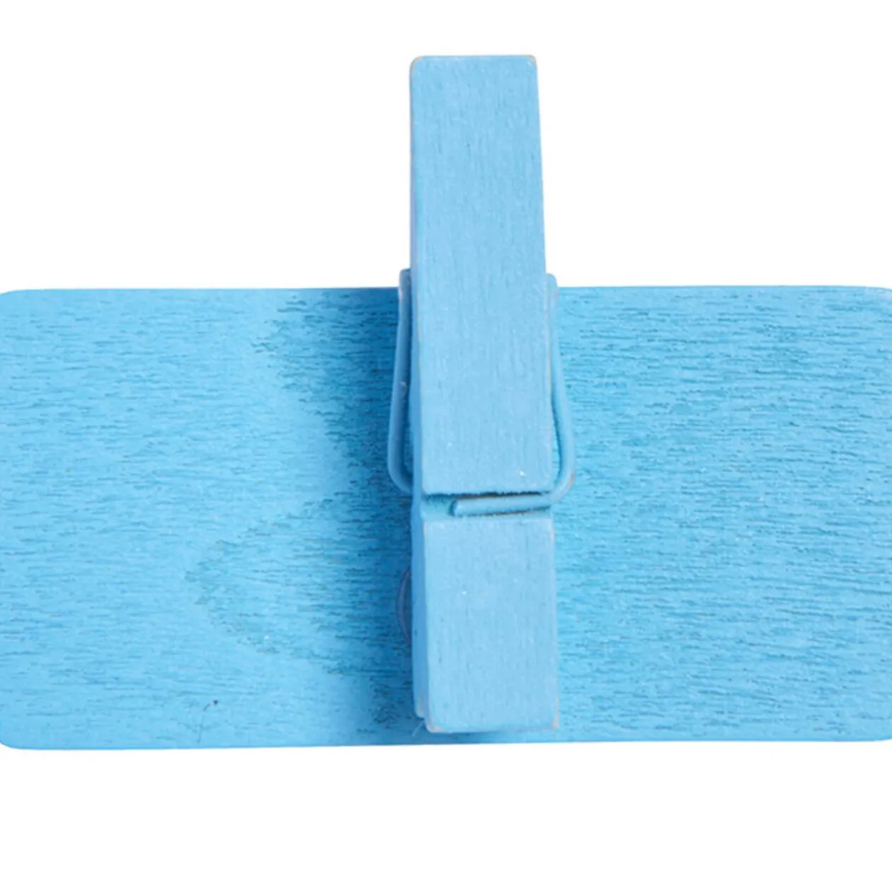 Pince ardoise bleue x6