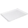 Plateau rectangulaire carton blanc x10
