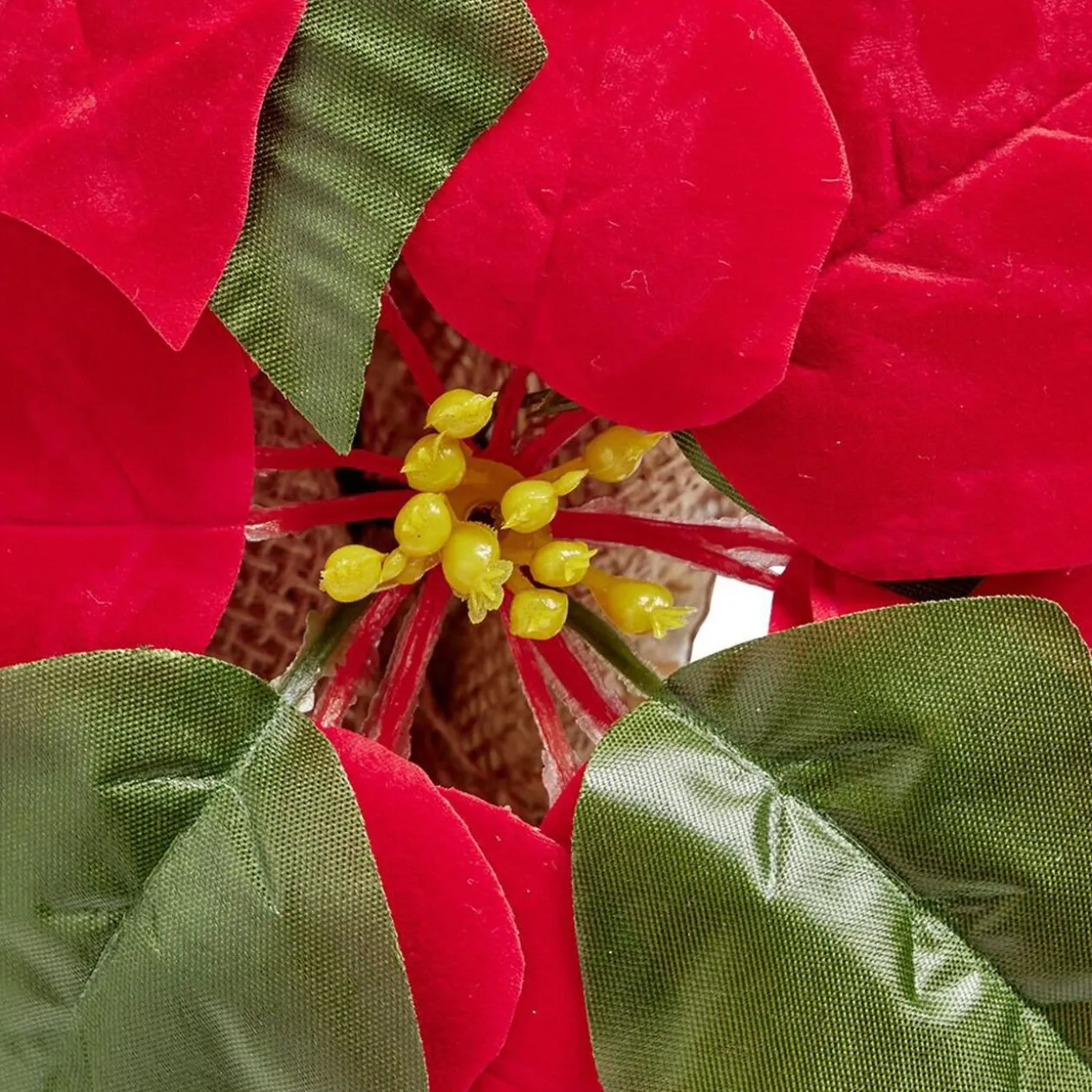 Poinsettia lumineux H23cm