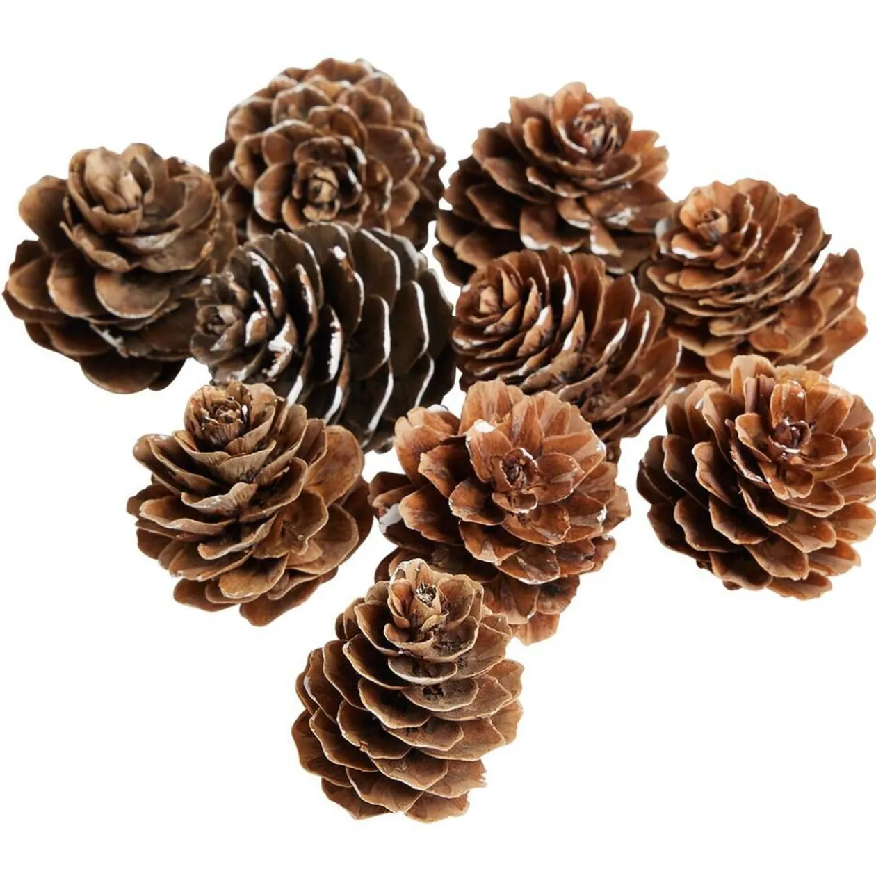 Pomme de pin à poser effet neige blanche x10