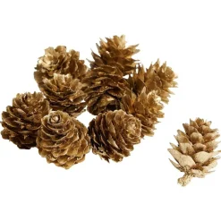 Pomme de pin à poser effet neige dorée x10
