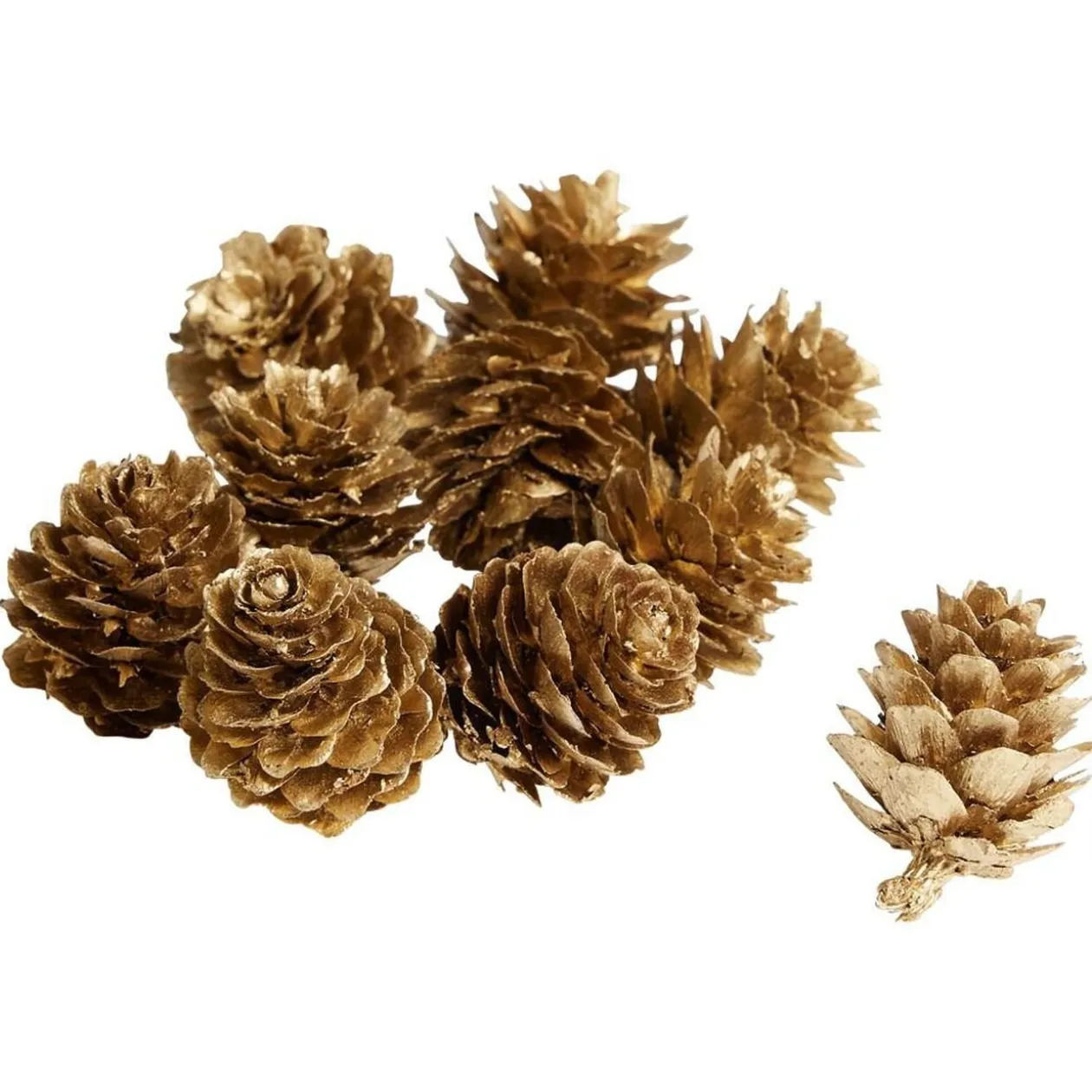 Pomme de pin à poser effet neige dorée x10