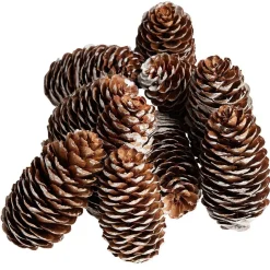 Pomme de pin finition enneigée x10