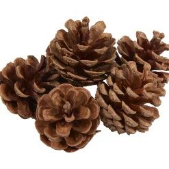 Pomme de pin naturel décoration